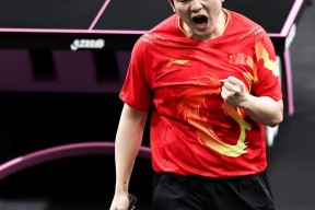 米兰体育官网-德国杯积分榜最新排名