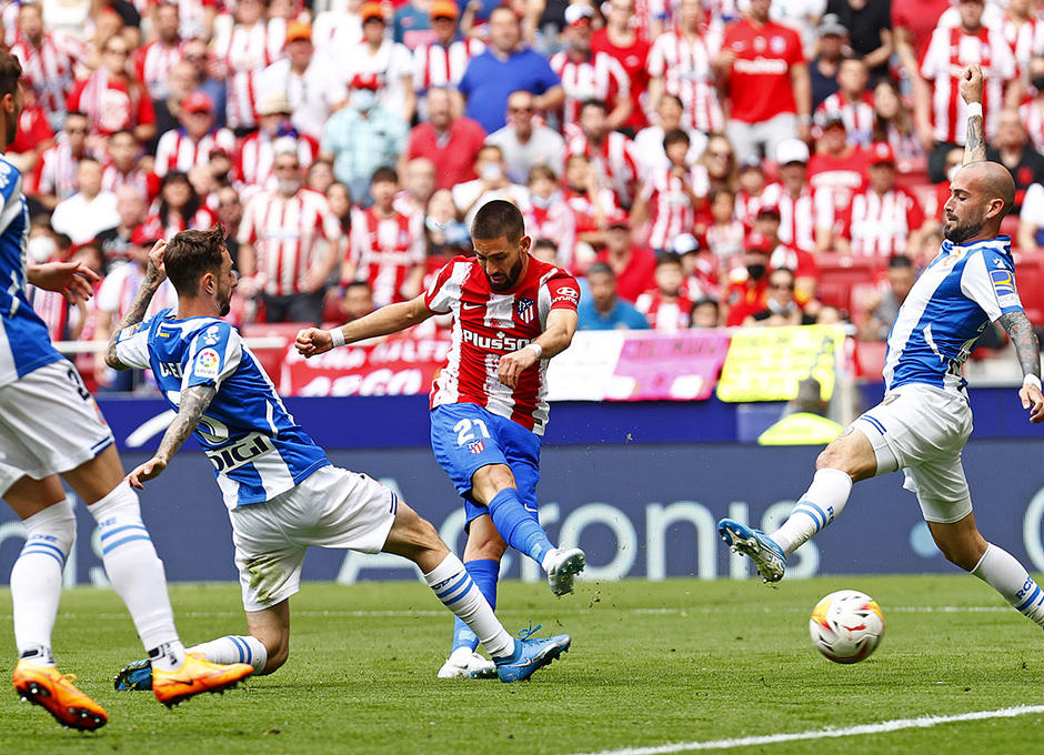 关于夏洛特黄蜂再遭质疑备战欧冠风云突变波士顿凯尔特人清晨绝杀压哨，连对手都承认：集结日布莱顿调整名单——西甲节点到来的信息